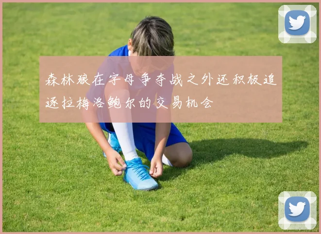 森林狼在字母争夺战之外还积极追逐拉梅洛鲍尔的交易机会