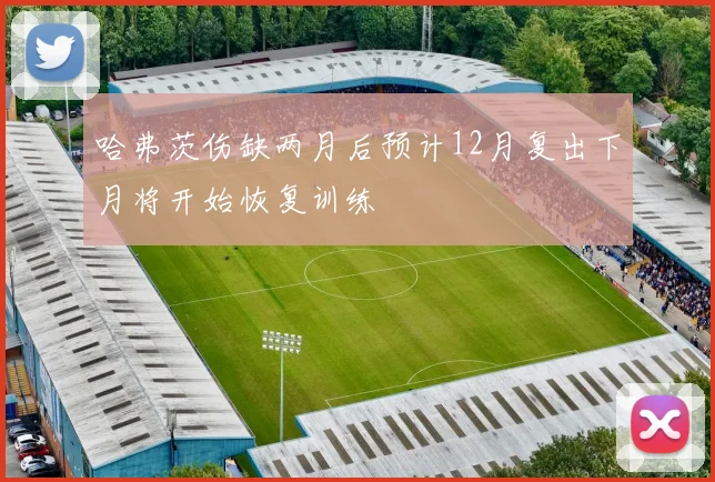 哈弗茨伤缺两月后预计12月复出下月将开始恢复训练